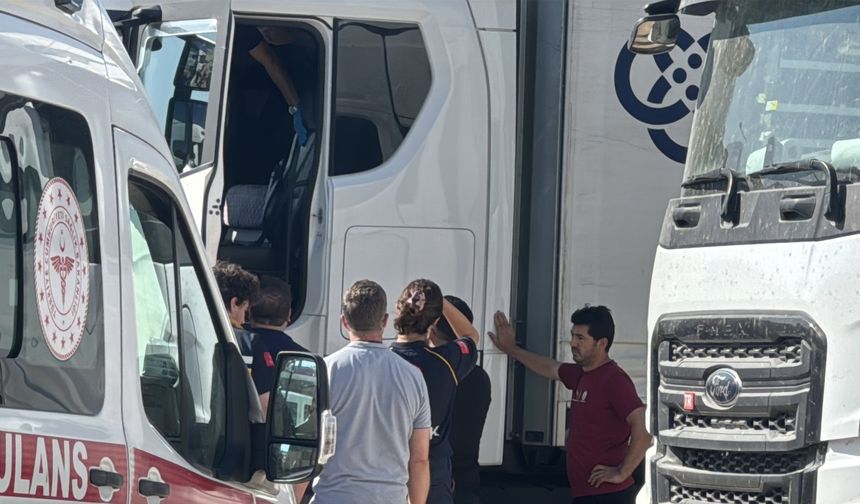 EDİRNE'DE TIR SÜRÜCÜSÜ ARACINDA ÖLÜ BULUNDU
