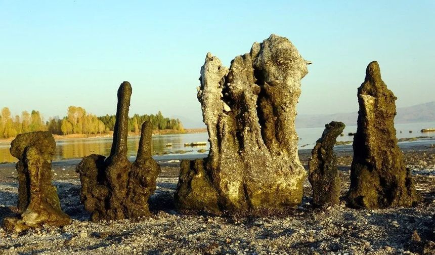 VAN GÖLÜ’NÜN DERİNLİKLERİNDE MİKROBİYALİT GÖRSELİ