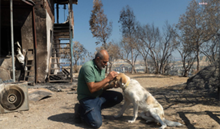 YANGINDAN KURTARILAN "KAPTAN" ADLI KÖPEĞİN ARTIK YUVASI VAR