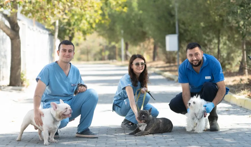 İZMİR'DE EL KONULAN CİNS KÖPEKLER SAHİPLENDİRİLECEK