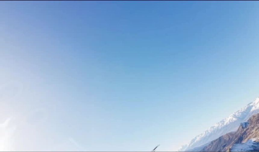 BU DA OLDU! TUNCELİ'DE KARTAL DRONU KAPTI