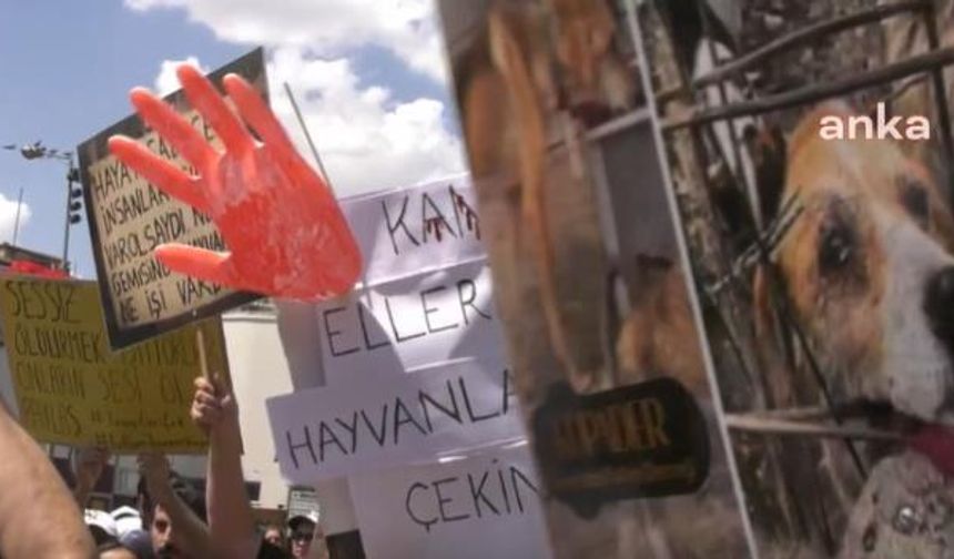 KÖPEKLERE SALDIRAN DOKTOR YENİDEN YARGILANACAK