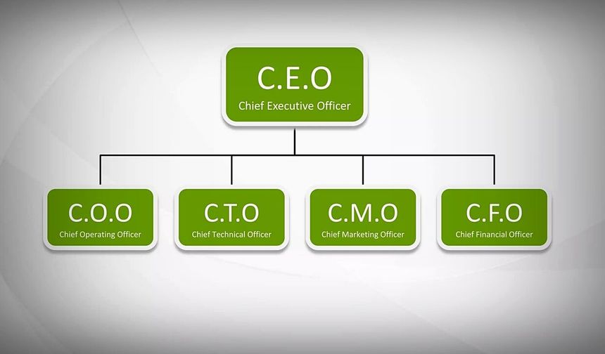 CTO MAAŞLARI CEO MAAŞLARINI GEÇTİ