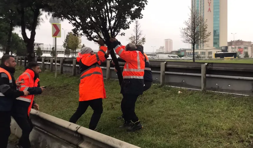 İSTANBUL'DA AYLIK TOPLAM YAĞIŞIN 4 KATI BİR GÜNDE DÜŞTÜ