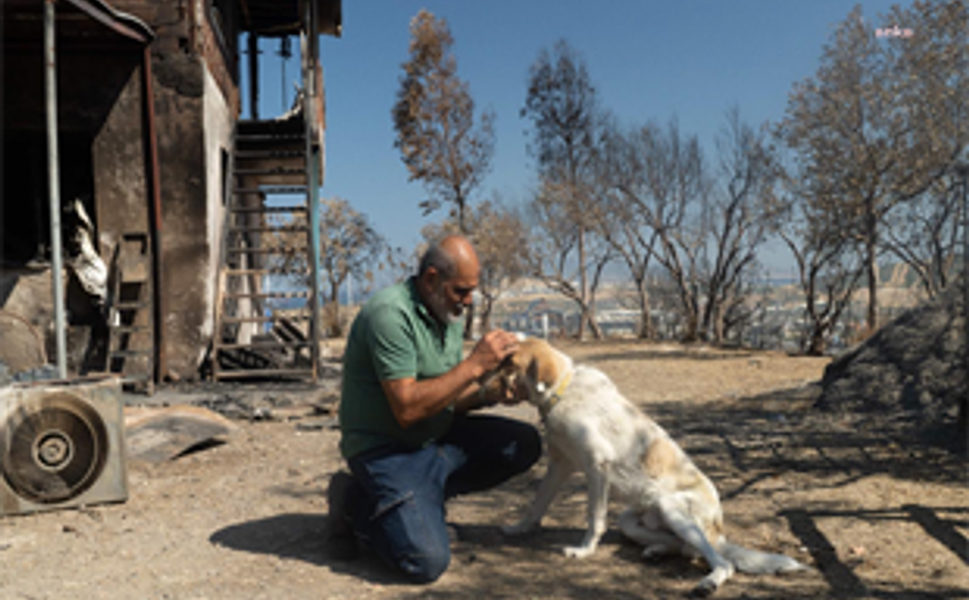 YANGINDAN KURTARILAN "KAPTAN" ADLI KÖPEĞİN ARTIK YUVASI VAR