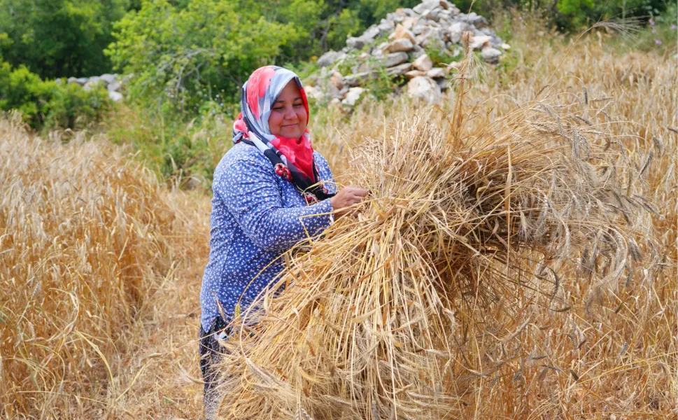 DEPREM BÖLGESİNDE 'TEMİZ EKMEK PROJESİ'