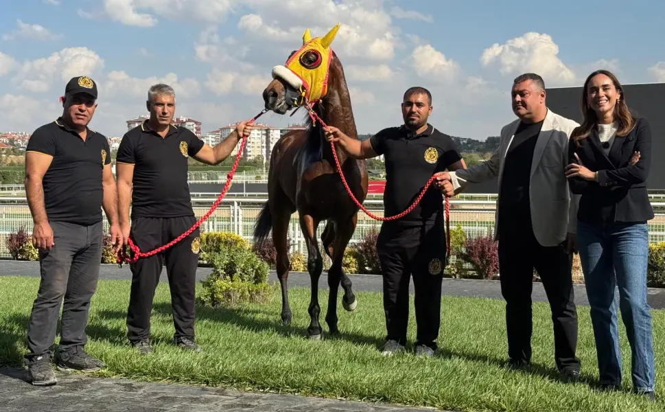 100. GAZİ ŞAMPİYONU 'BAY NALÇAKAN' AYGIR OLUYOR