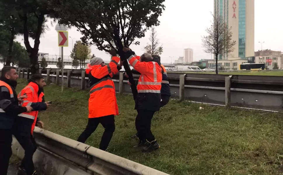 İSTANBUL'DA AYLIK TOPLAM YAĞIŞIN 4 KATI BİR GÜNDE DÜŞTÜ