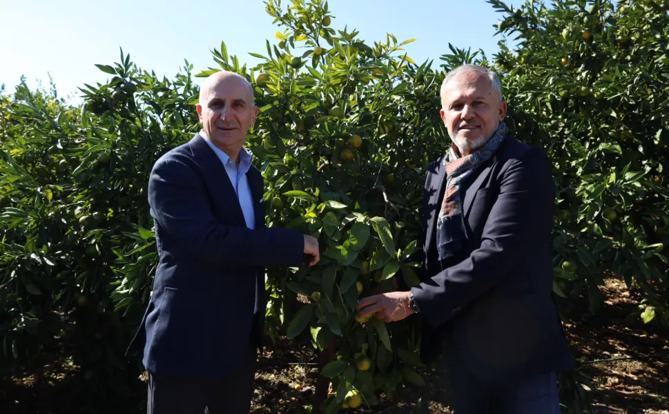SATSUMA MANDALİNANIN İHRACAT YOLCULUĞU BAŞLADI